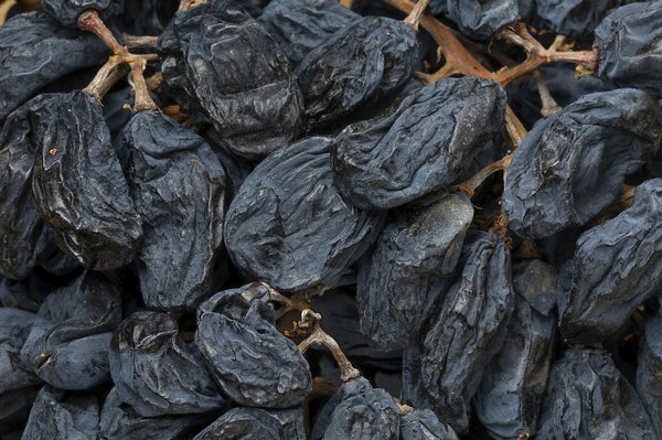 Quels gîtes en Bourgogne permettent de participer aux vendanges et à des ateliers de dégustation?