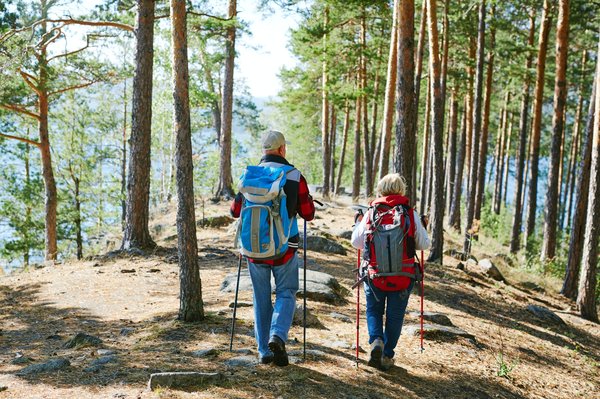 Quels sont les conseils pour un trekking responsable dans la forêt de Bialowieza en Pologne ?