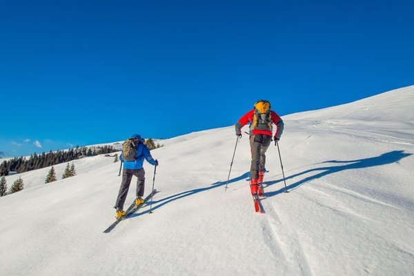 Quelles sont les plus belles randonnées à faire dans le parc national des Pyrénées ?